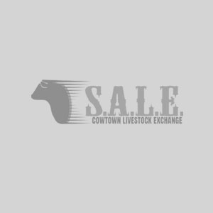  - Cowtown Agent